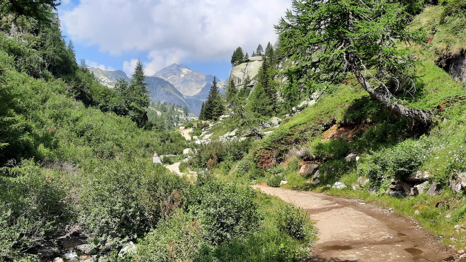 Vallone del Vannino, the wide path climbing gently