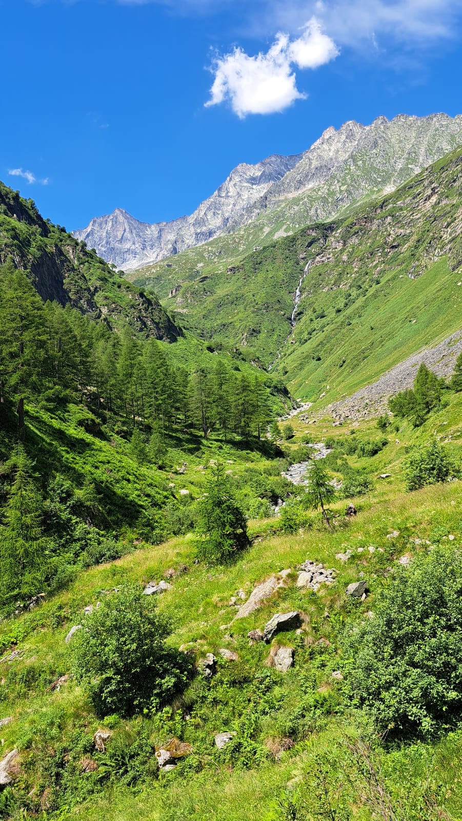 Antrona Valley, Piana Ronchelli