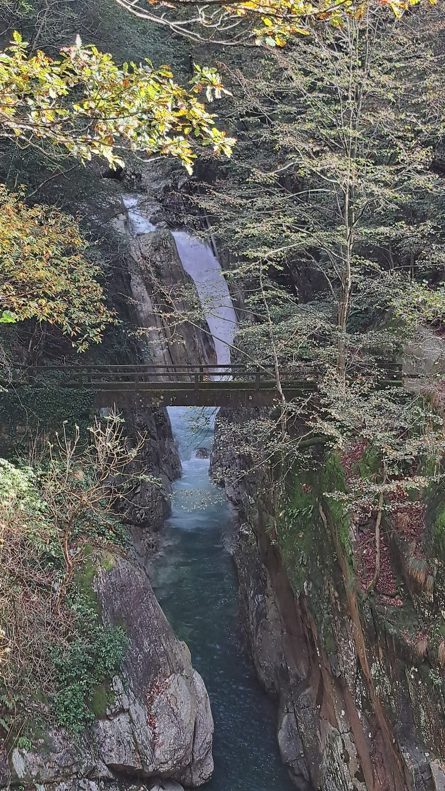 Val Grande, the Pogallo stream