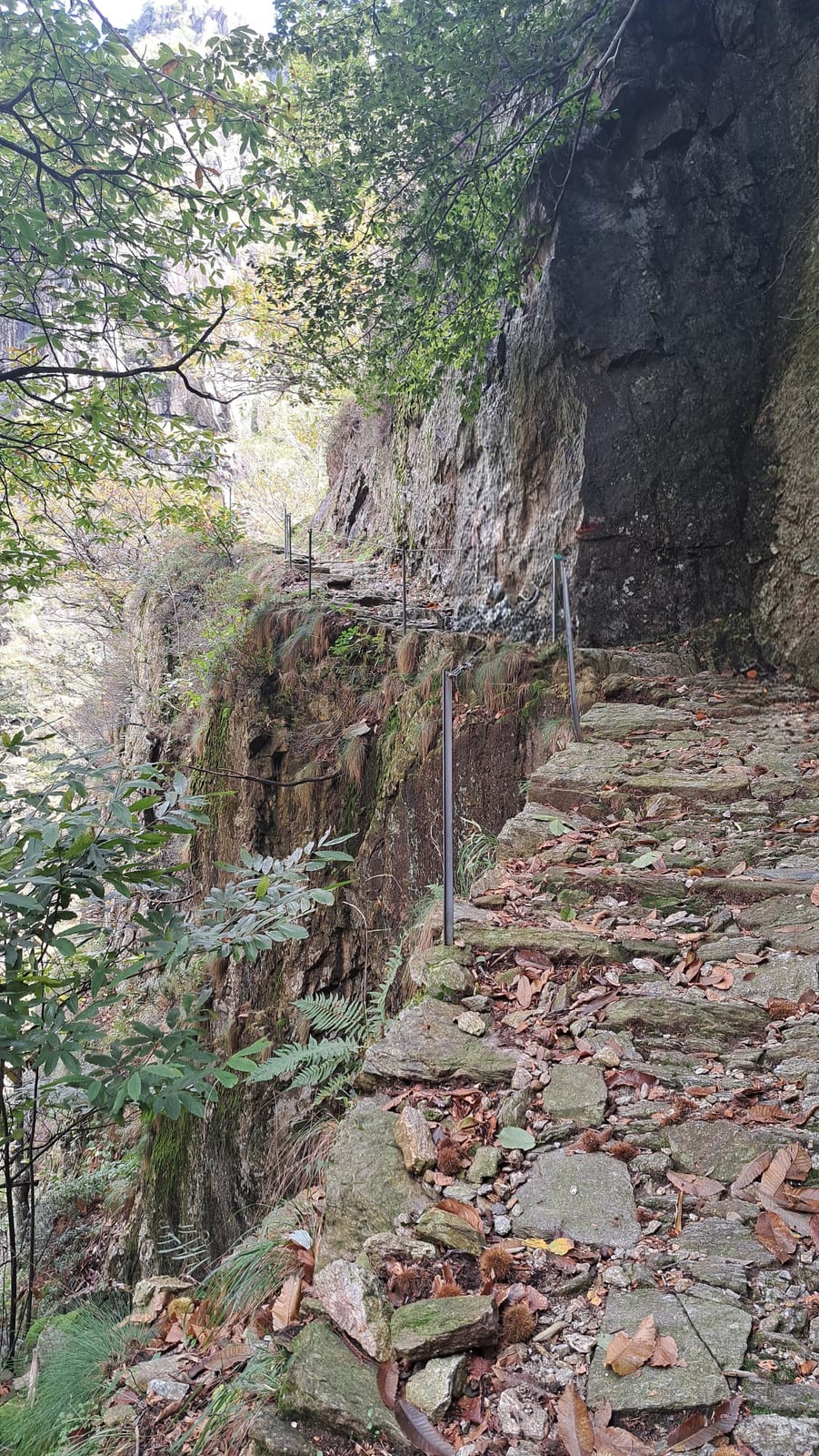 Val Grande, the heroic mule tracks