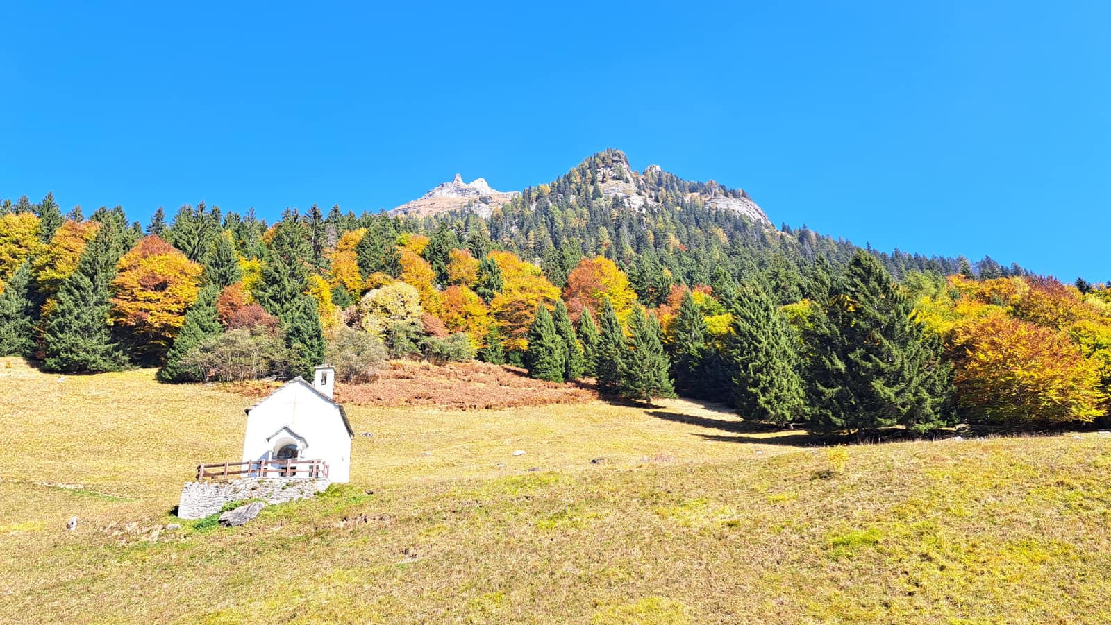 Valle Antigorio. Autumn colors, toward Salecchio.