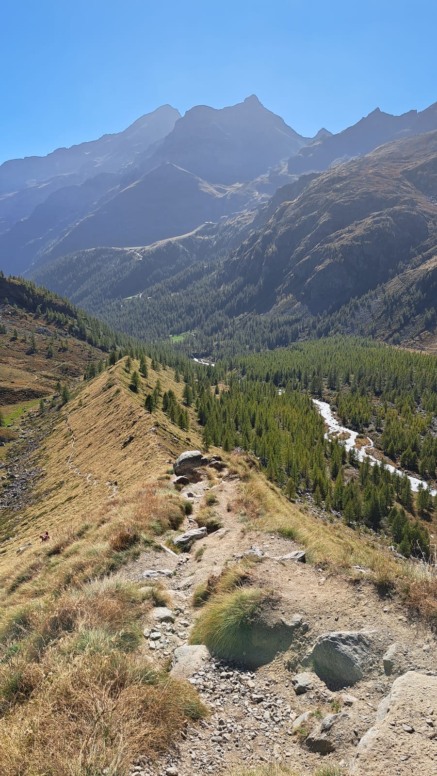 Lys Valley from the path to its springs.