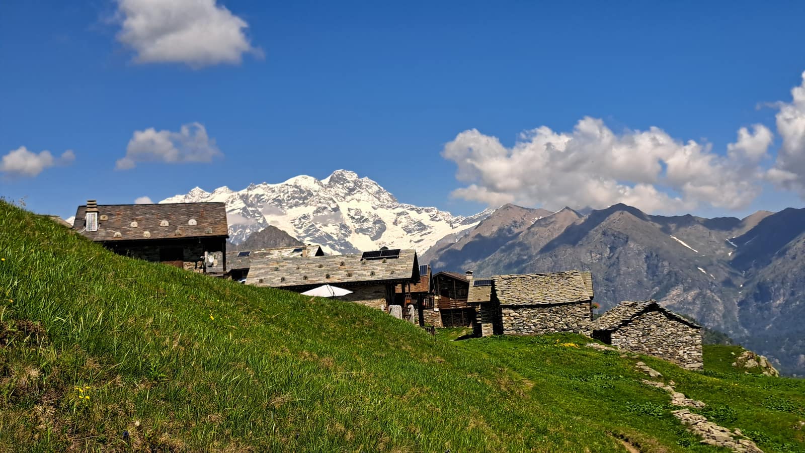 Alpe Pizzo, conca di Meggiana.