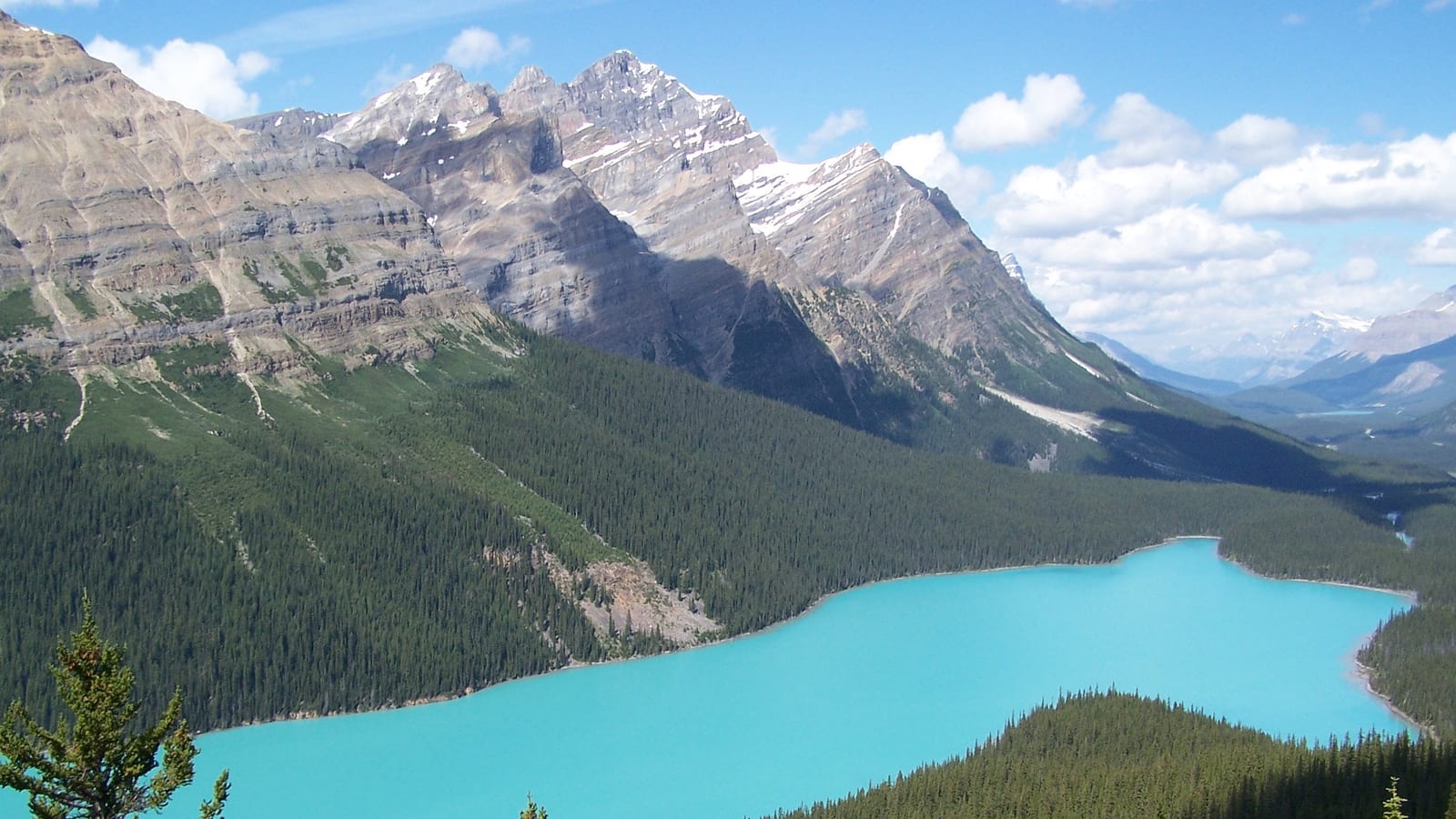 Peyto Lake, Banff. Its elongated shape, seen from above, recalls a falling star.