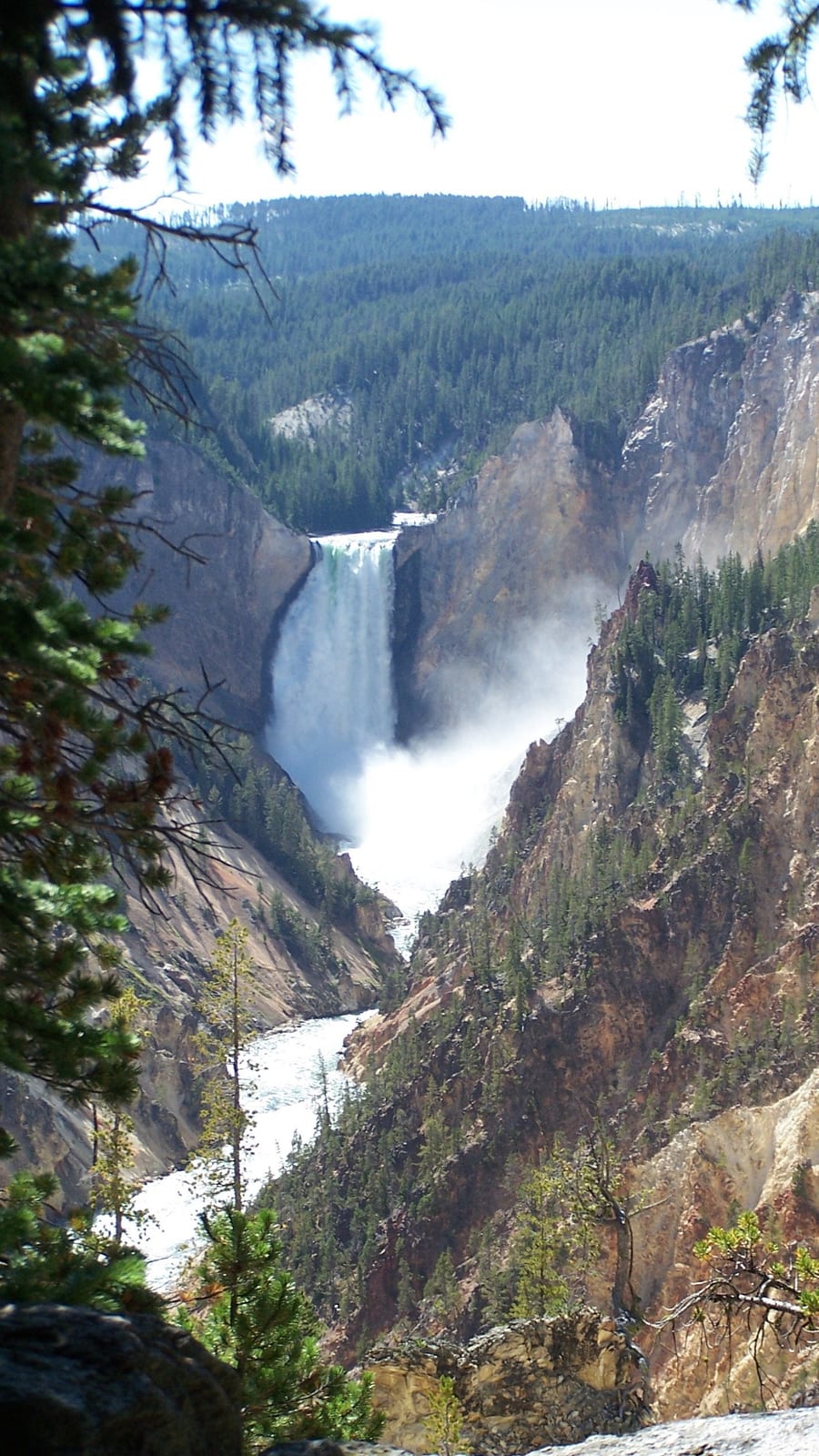 Yellowstone National Park, Grand Canyon, Lower Falls.