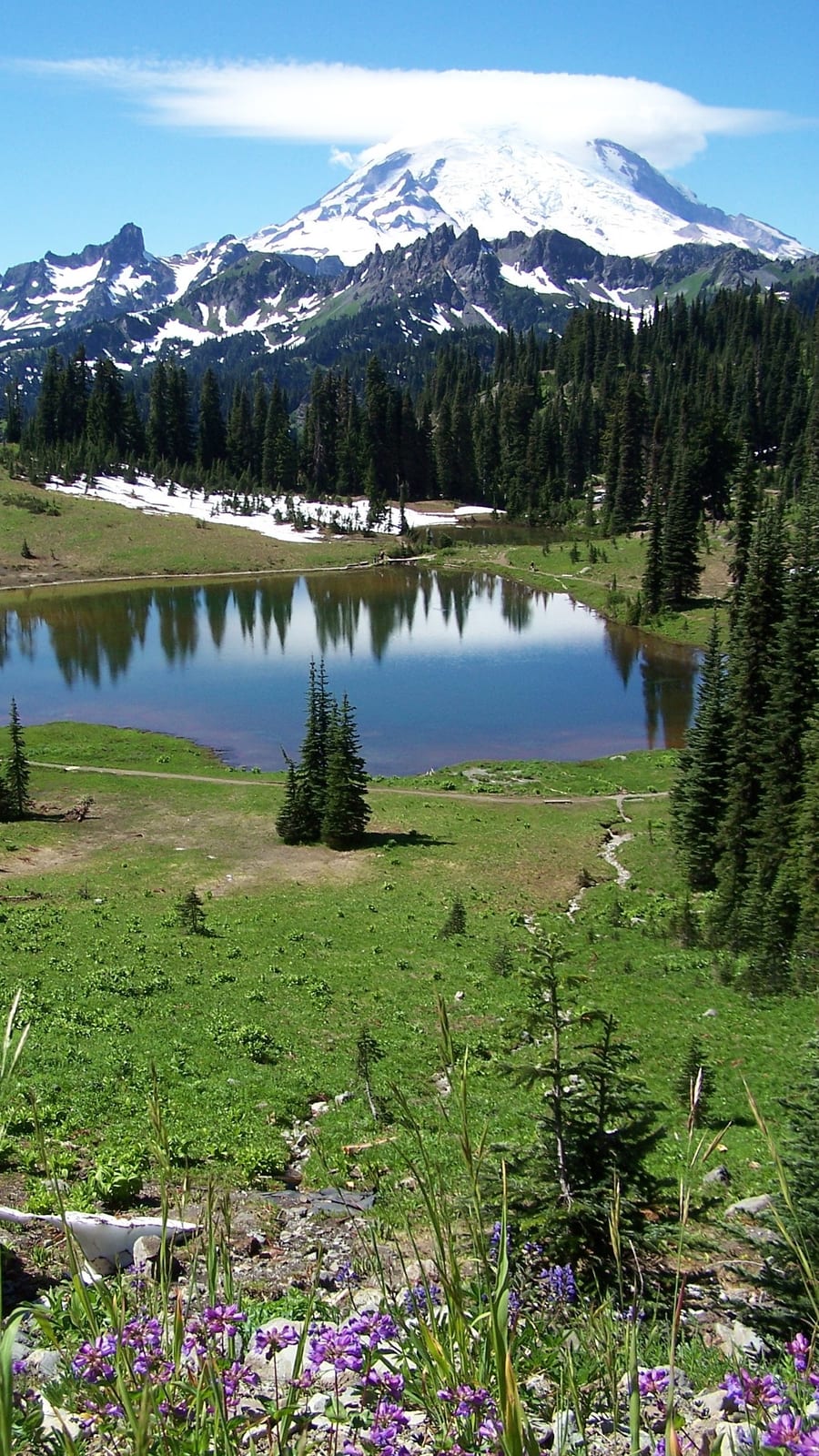 Mount Rainier National Park, Tipsoo Lake. The snow-capped volcano reflected in the alpine tarn.