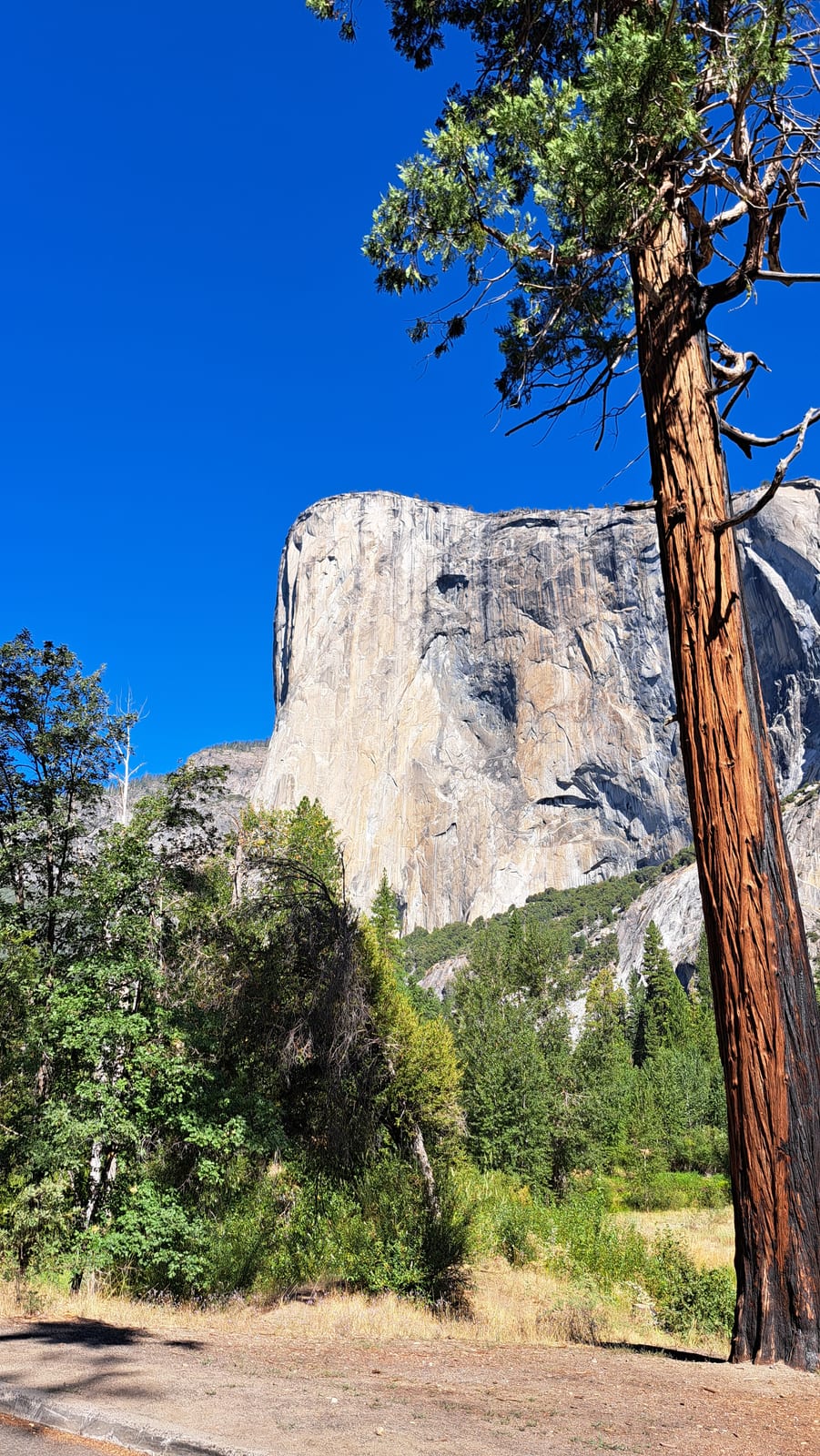 Yosemite National Park, El Capitan. The granite monolith dominating the valley.