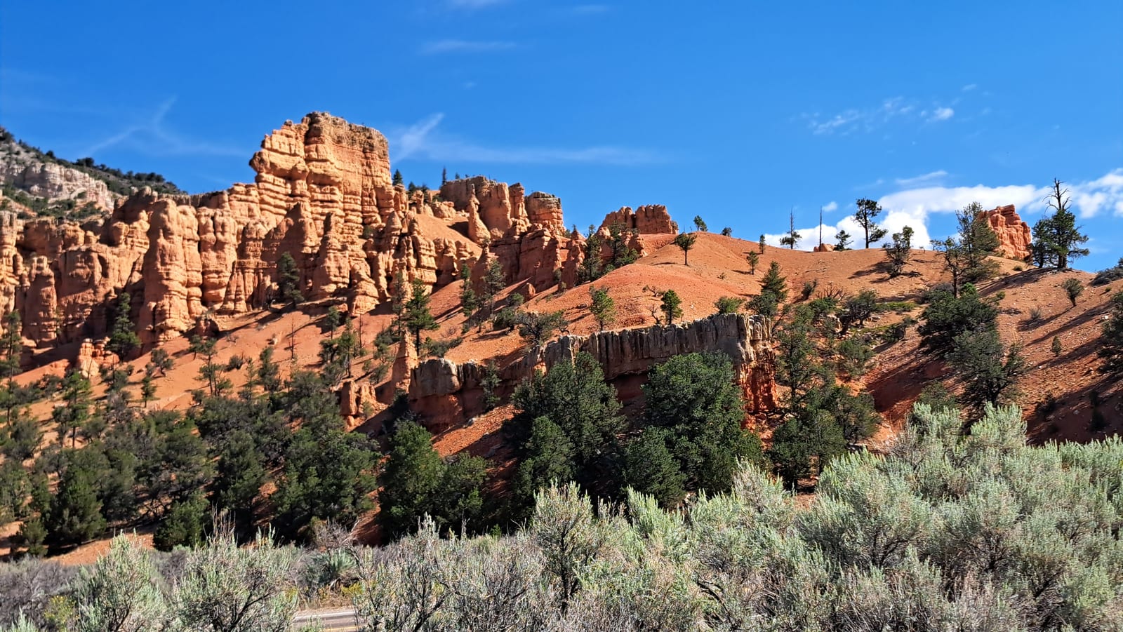 Red Canyon. Red rock spires among the pines.
