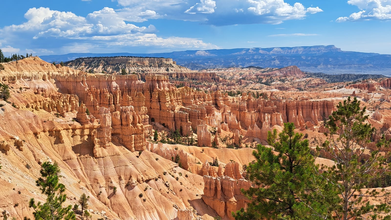 Bryce Canyon National Park. The amphitheater of hoodoos stretching to the horizon.
