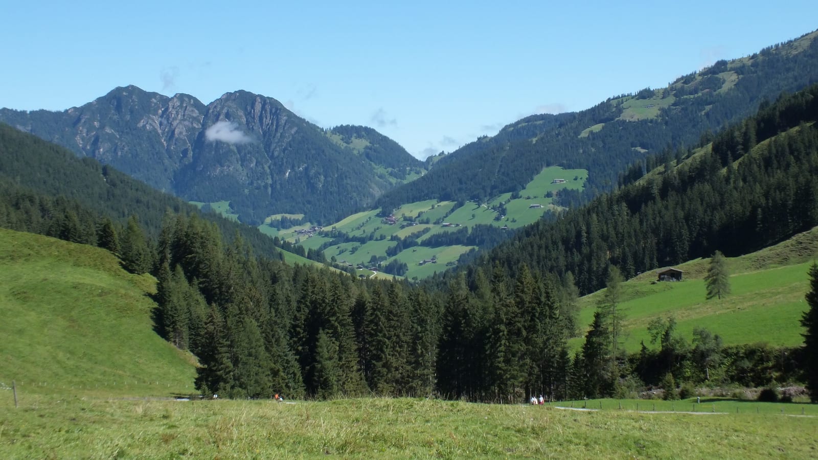 Tyrol, Alpbachtal. Vast green valleys.