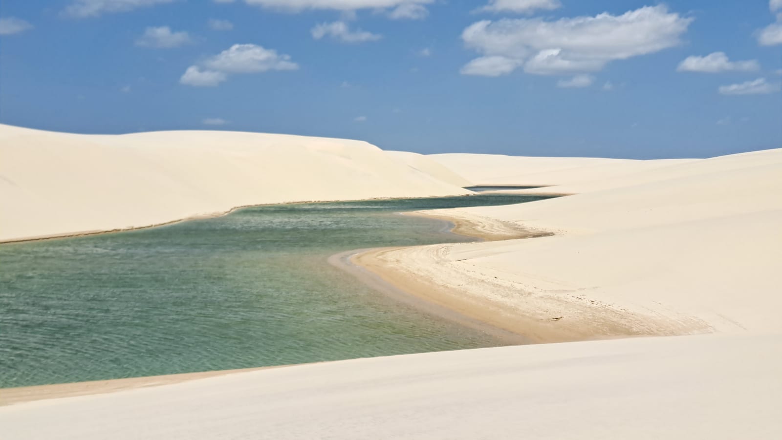 The lagoons trace the sinuous shape of the dunes
