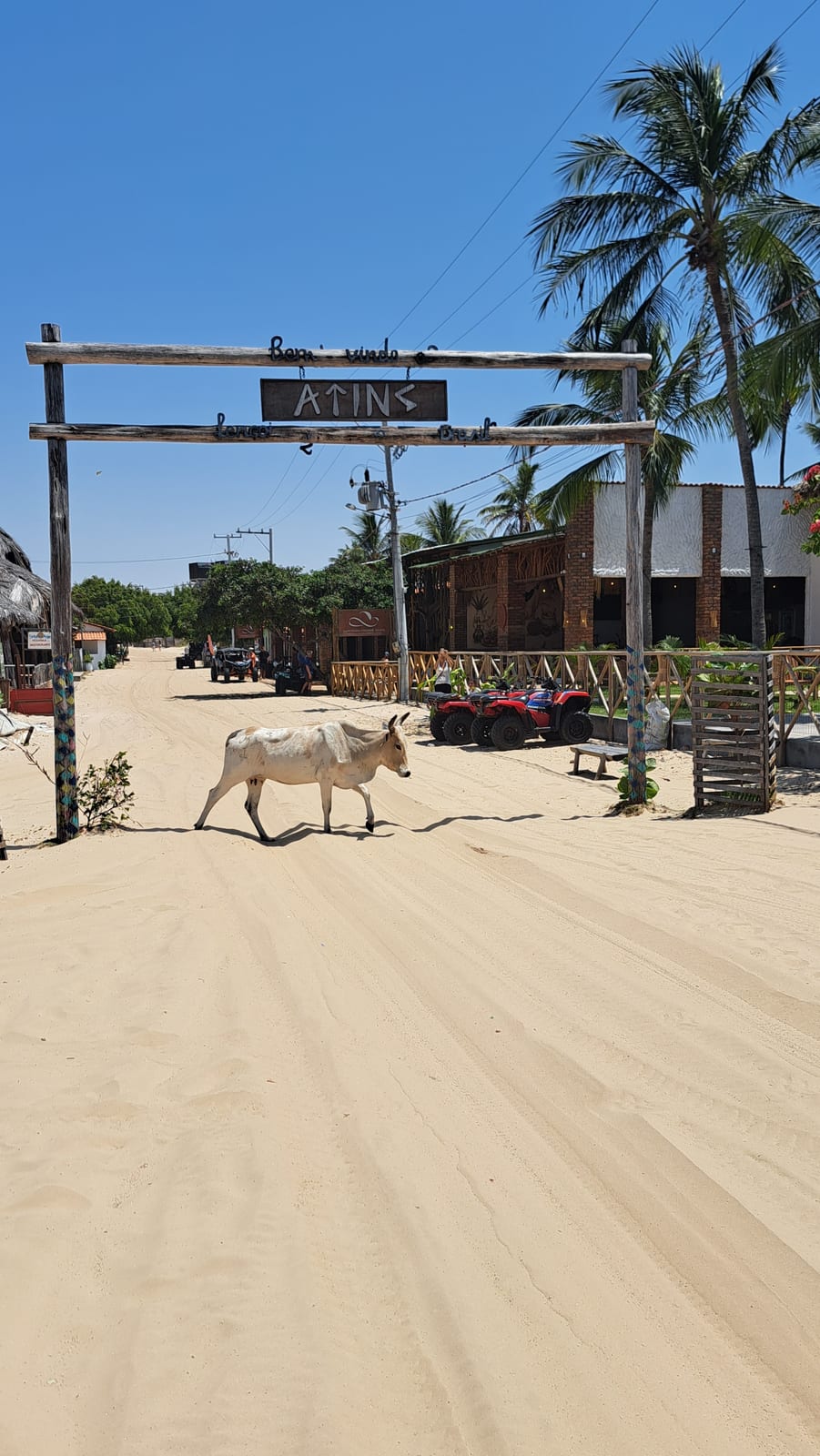 One last walk through the sandy streets of Atins