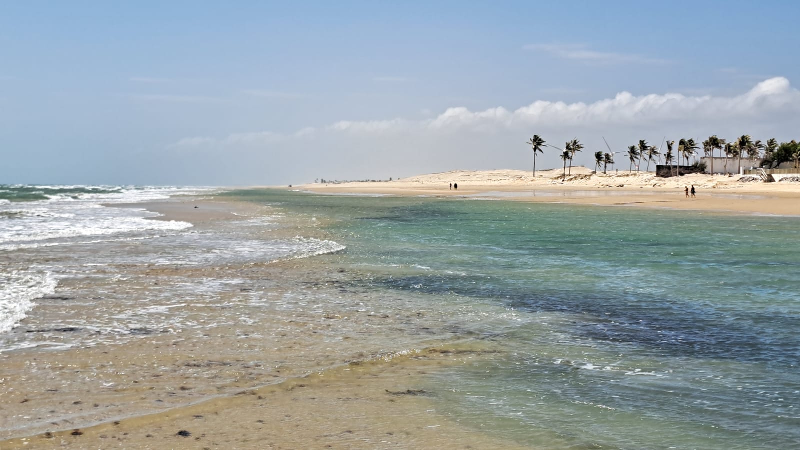 Natural pools that form at low tide