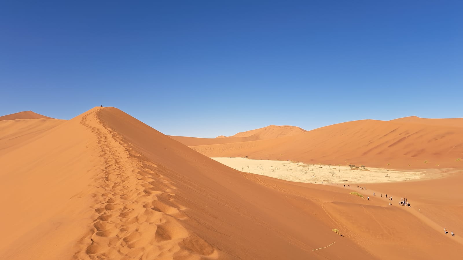 Looking down into Dead Vlei from the dune ridge