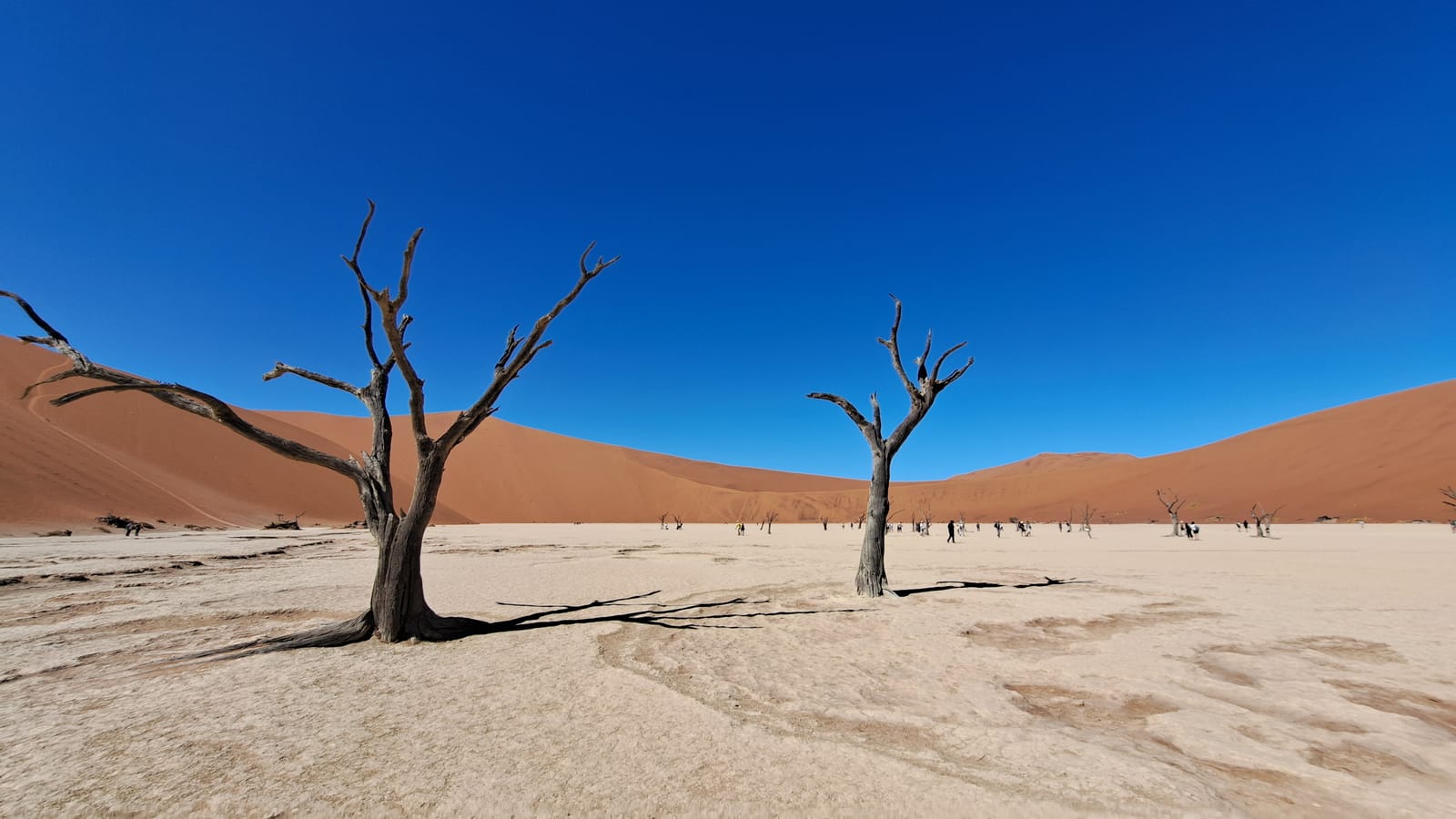 Dune landscape in the Namib desert