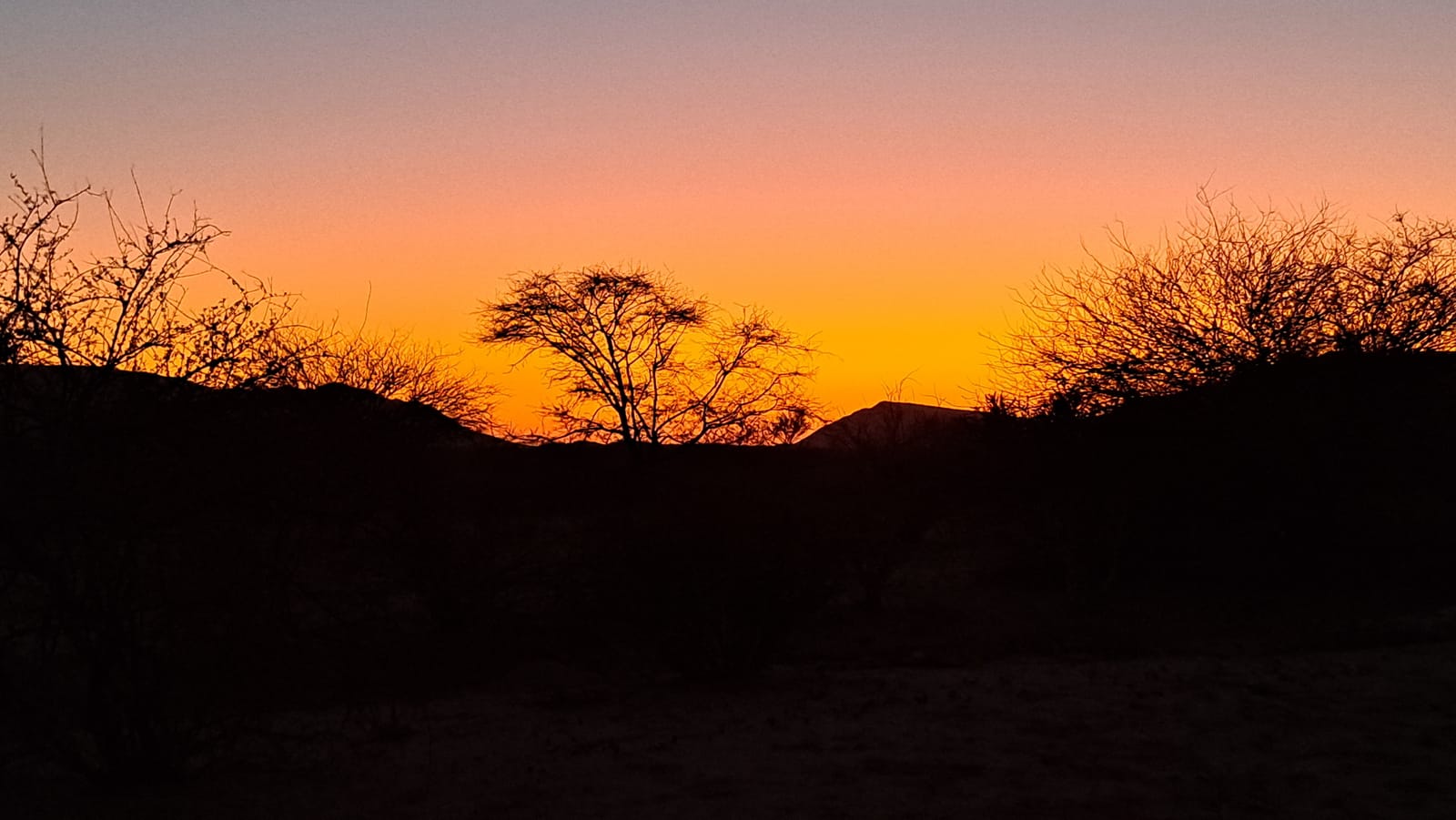 Damaraland sunrise — the day begins before the road north