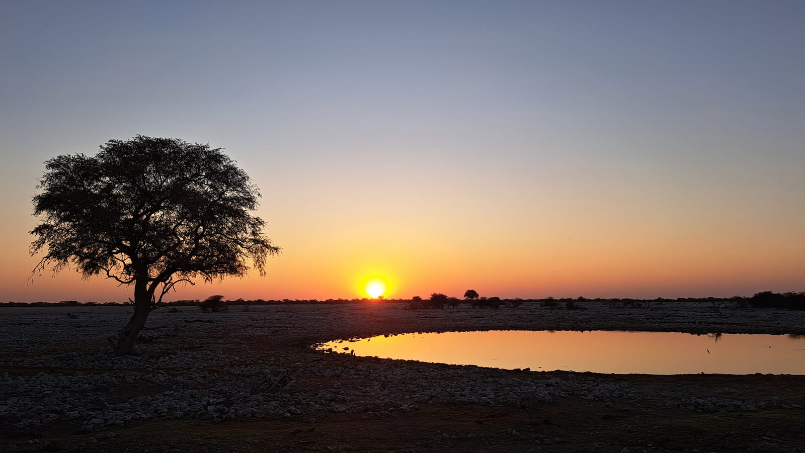 Waterhole at sunset
