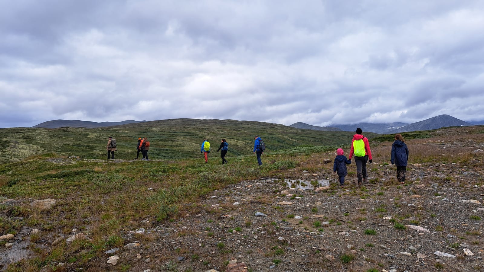 The group walking across the Dovrefjell plateau, between dirt tracks and faint traces