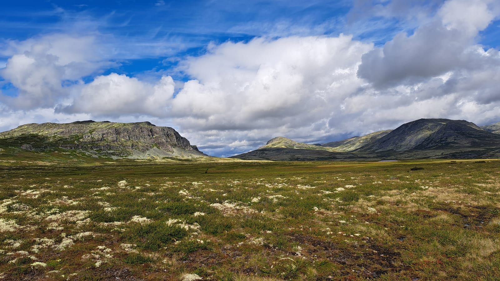 The Grimsdalen, a wide expanse of lichen under a still-blue sky