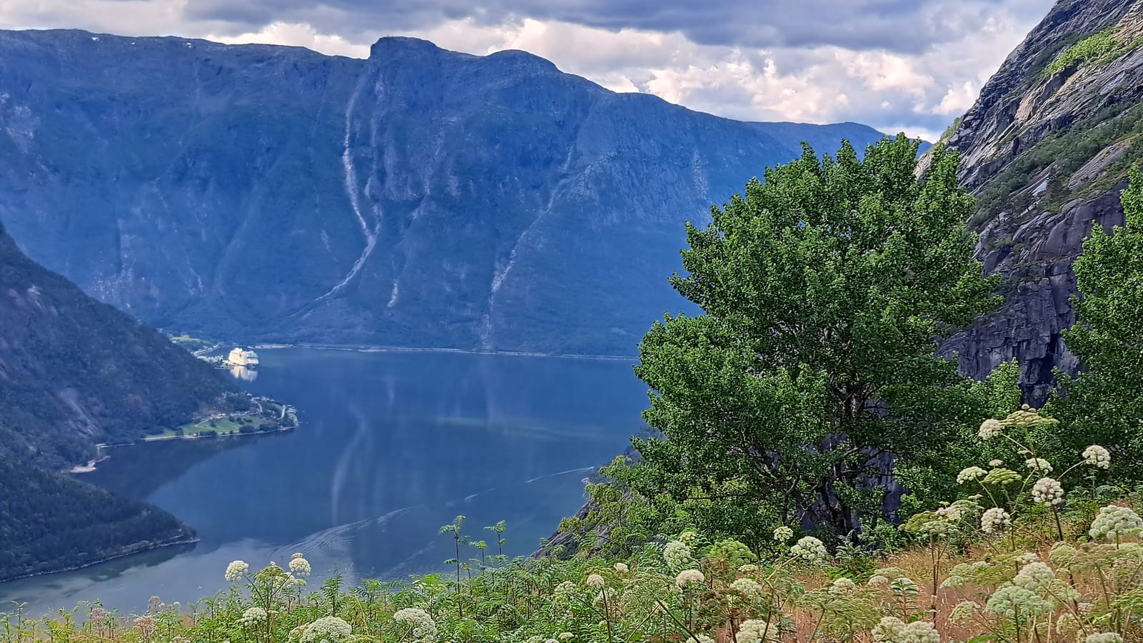 The view down over Eidfjord, with a cruise ship moored