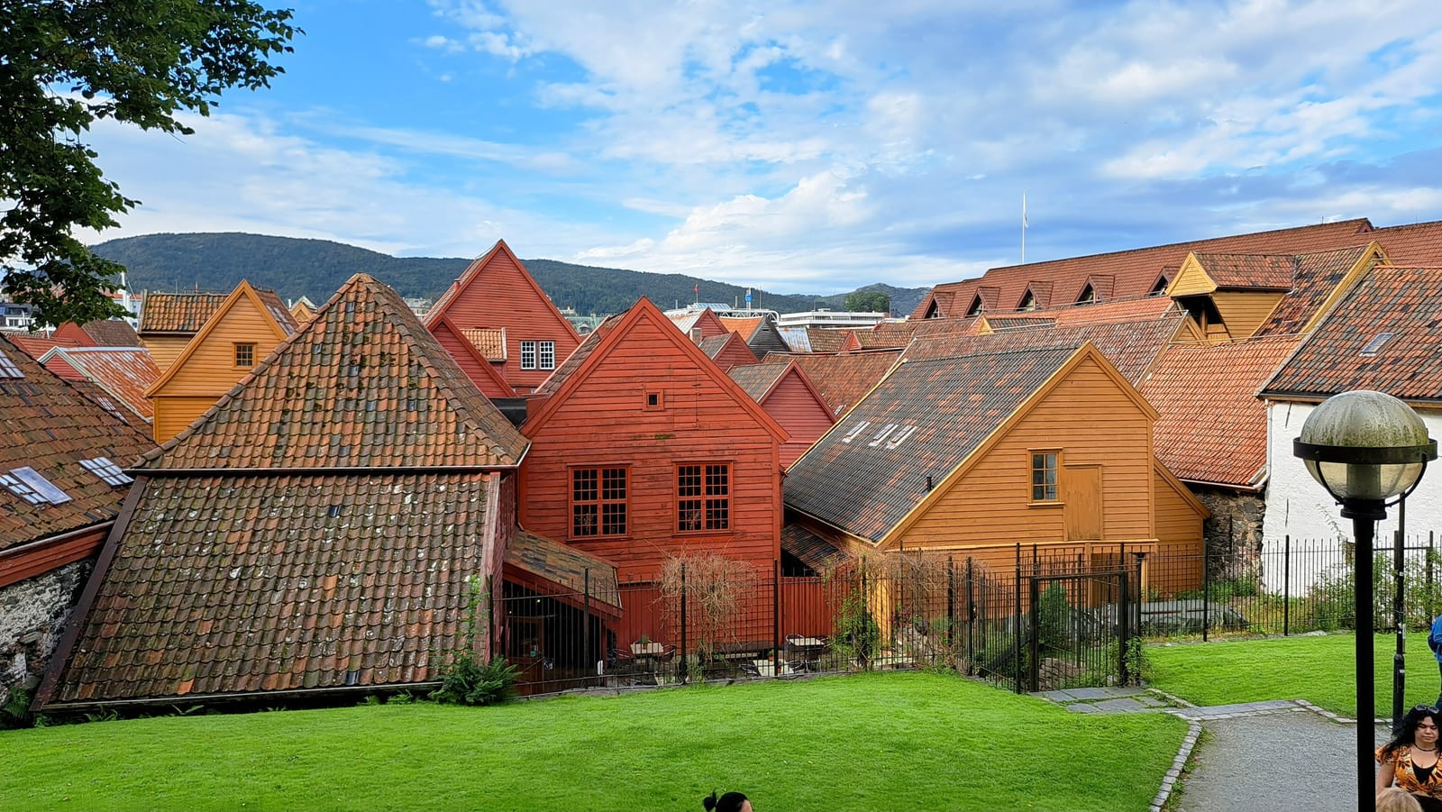 The steeply pitched roofs of Bryggen from an unusual angle