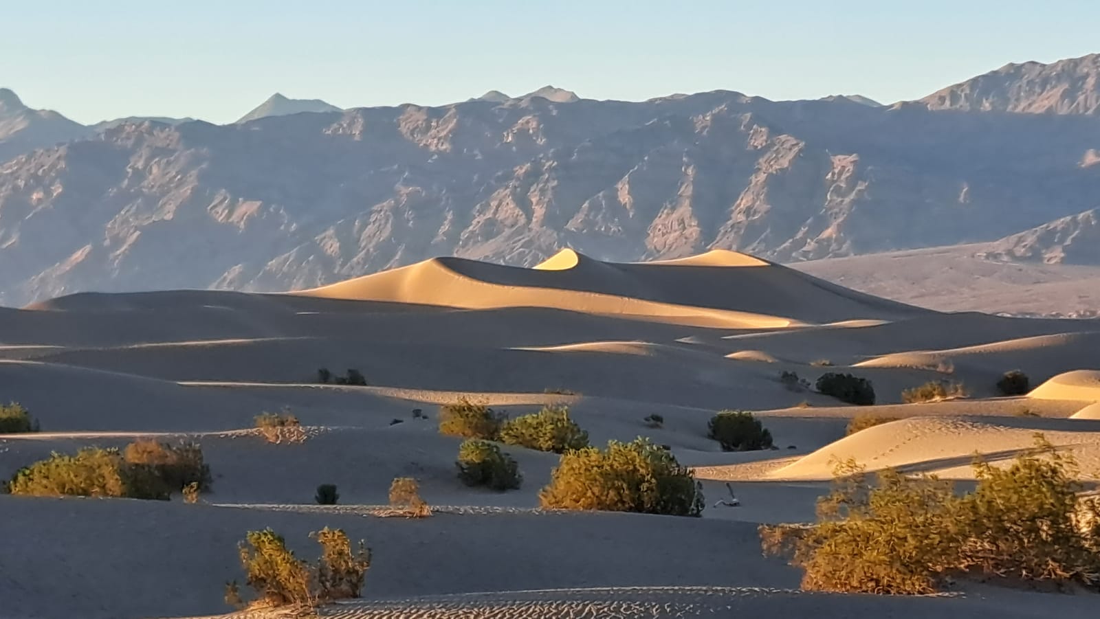Sunset light on the Mesquite Flat Sand Dunes, Death Valley