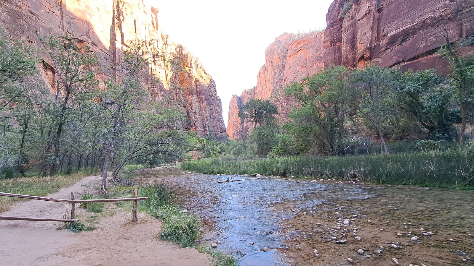 The Virgin River winding through Zion Canyon, canyon walls lit by the late sun